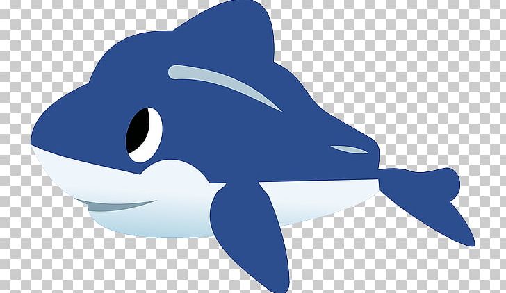 Dolphin PNG, Clipart, Animal, Animals, Beak, Blue, Cetacea Free PNG Download