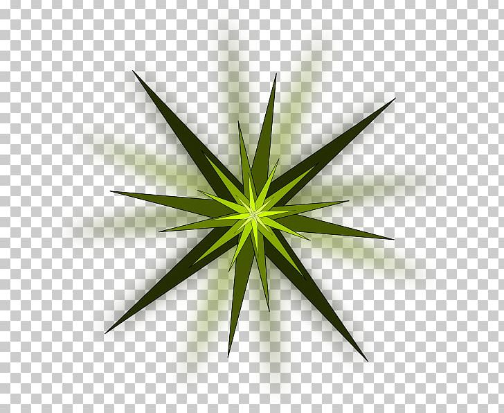 Green Star Computer Icons PNG, Clipart, Color, Computer Icons, Desktop Wallpaper, Grass, Green Free PNG Download