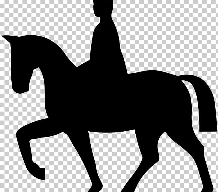 Horse&Rider Equestrian Collection PNG, Clipart, Animals, Black, Black White, Bridle, Collection Free PNG Download