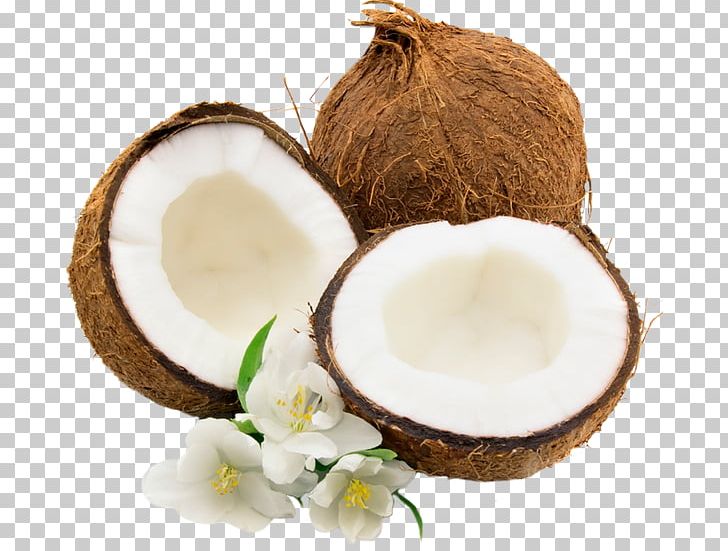 Coconut Water Juice Milk PNG, Clipart, Coco, Coconut, Coconut Cream, Coconut Oil, Coconut Water Free PNG Download