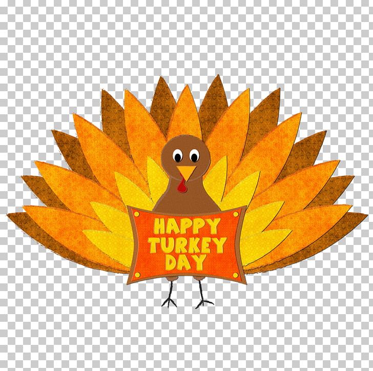 Turkey Thanksgiving PNG, Clipart, Autumn, Beak, Bird, Blog, Colorful Turkey Cliparts Free PNG Download