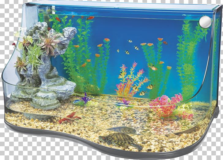 Aquarium Filters Nano Aquarium Reef Aquarium Aquascaping PNG, Clipart, Akwaterrarium, Algae Scrubber, Aquarium, Aquarium Decor, Aquarium Filters Free PNG Download
