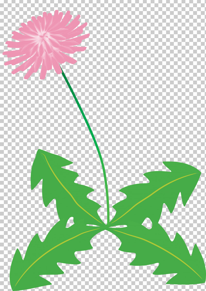 Dandelion Flower PNG, Clipart, Branch, Common Daisy, Dandelion Flower, Floral Design, Flower Free PNG Download