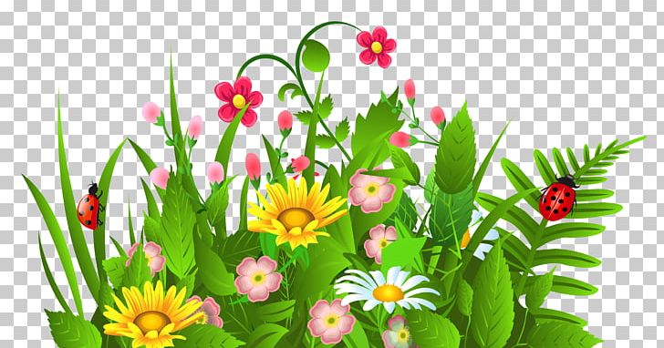 Flower PNG
