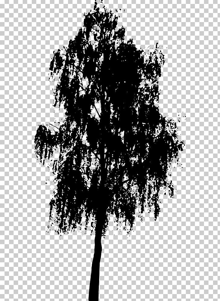 Tree Southern Live Oak Silhouette PNG, Clipart, Art, Black And White, Branch, Drawing, English Oak Free PNG Download