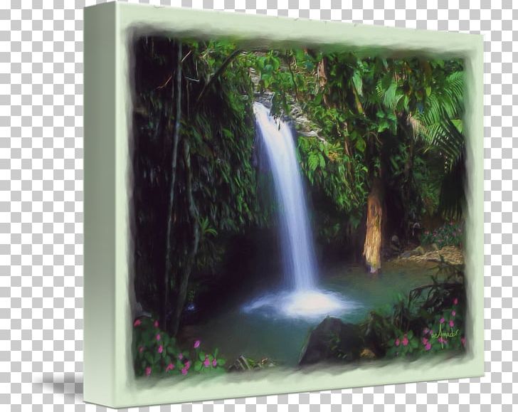 El Yunque National Forest Waterfall Water Resources Rainforest Nature Reserve PNG, Clipart, Art, Body Of Water, Canvas, Chute, El Yunque National Forest Free PNG Download
