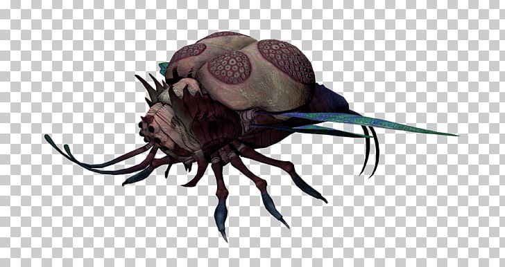 Guild Wars 2 Kybernesis Video Game Wiki Skull PNG, Clipart, Asset, Brain, Confluence, Decapoda, Guild Wars Free PNG Download