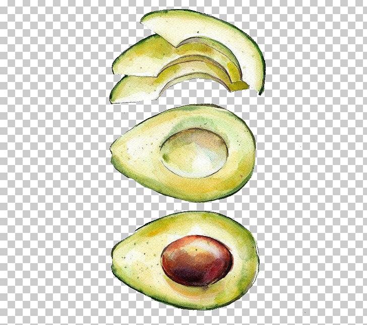 Watercolor Painting Printmaking Drawing Avocado PNG, Clipart, Art, Creative, Creative Fruit, Diet Food, Drawing Free PNG Download
