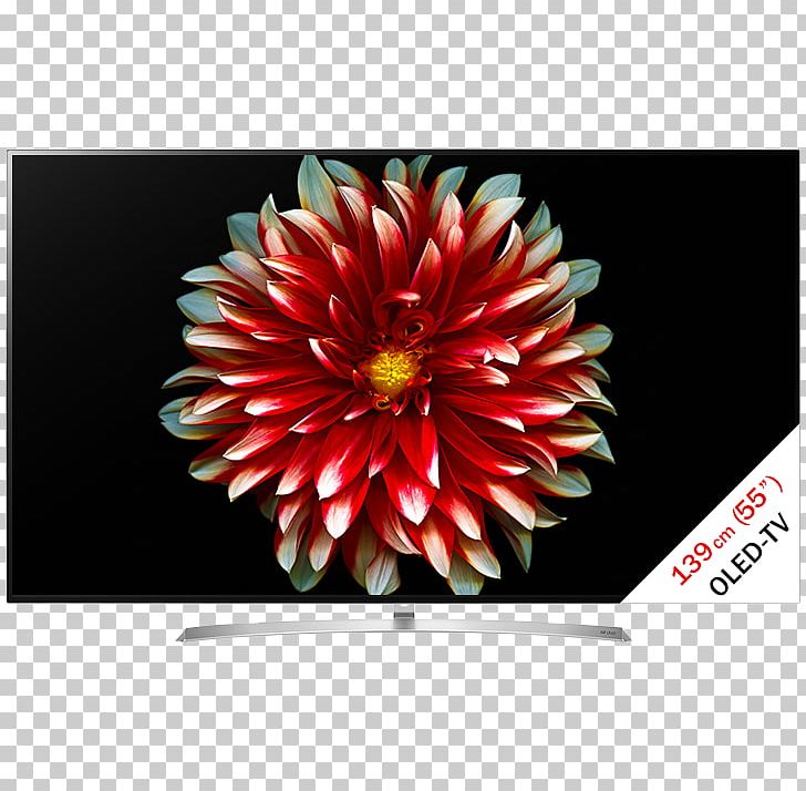 OLED 4K Resolution Smart TV Ultra-high-definition Television PNG, Clipart, 4k Resolution, Chrysanths, Dahlia, Daisy Family, Flora Free PNG Download