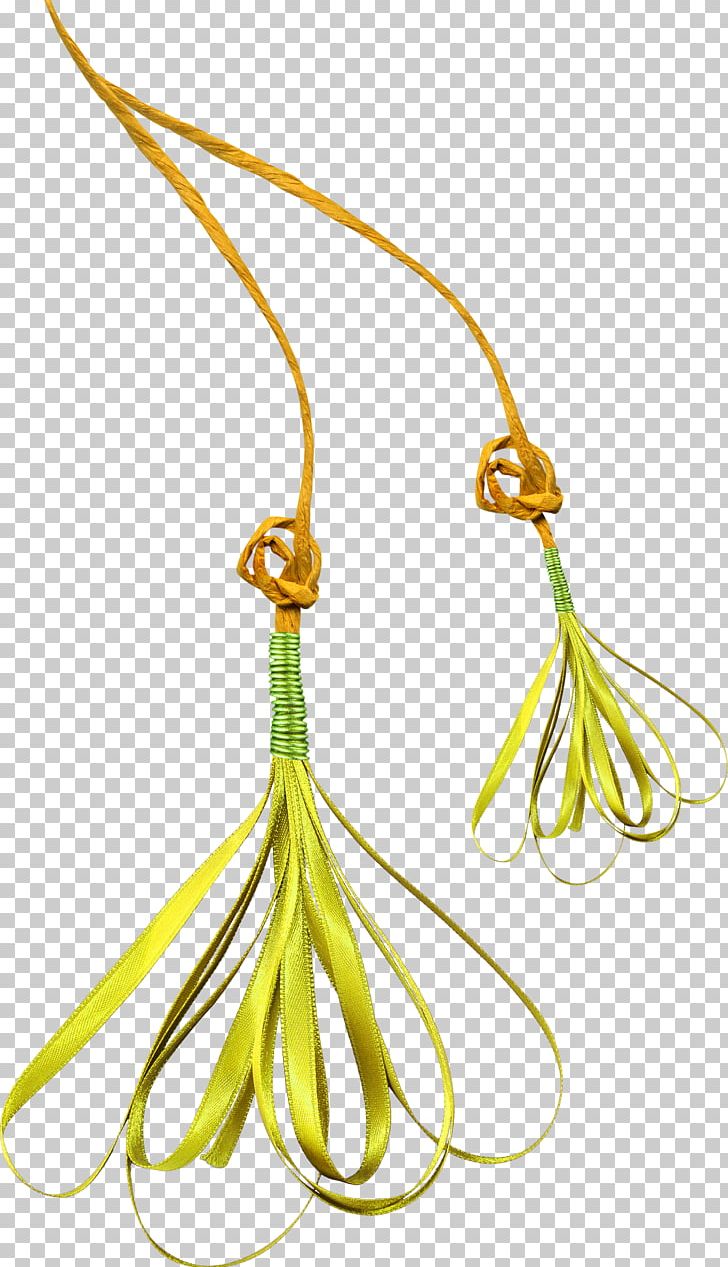 Rope Material PNG, Clipart, Body Jewelry, Braided, Braided Rope, Color, Color Rope Free PNG Download
