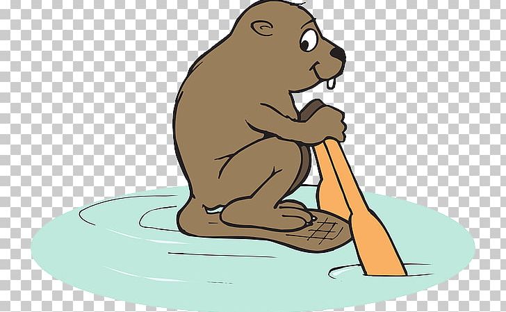 American Beaver Mammal Animal PNG, Clipart, Animal, Bear, Beaver, Beaver Cartoon, Carnivoran Free PNG Download