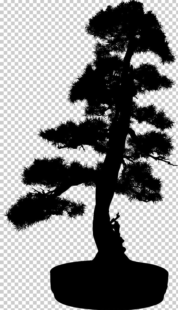 Bonsai Light Silhouette Tree PNG, Clipart, Black And White, Bonsai, Branch, Conifer, Cutting Free PNG Download