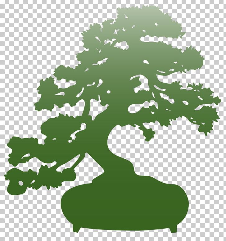 Bonsai The Karate Kid Tree Flowerpot Png Clipart Bonsai Branch