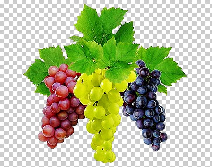 Common Grape Vine Wine PNG, Clipart, Desktop Wallpaper, Food, Food Drinks, Fruit, Grape Free PNG Download