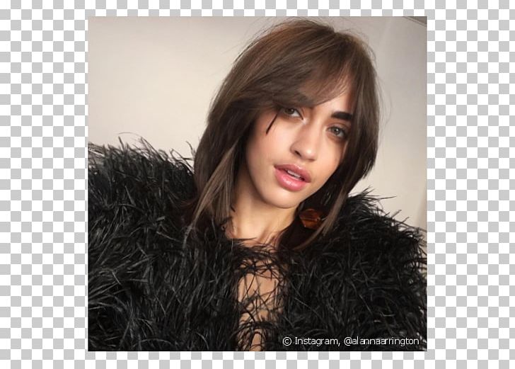 Kendall Jenner Long Hair Bangs Model Png Clipart Bangs Beauty
