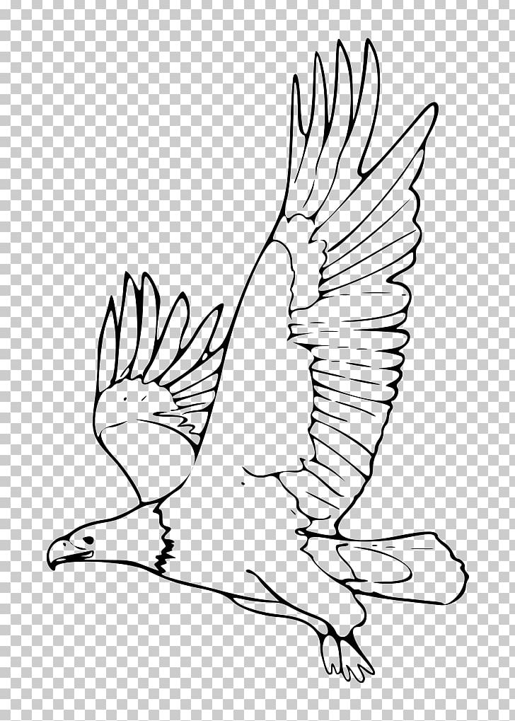 Bald Eagle White-tailed Eagle PNG, Clipart, Animals, Art, Artwork, Bald Eagle, Beak Free PNG Download