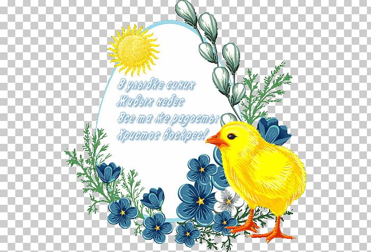 Easter Bunny PNG, Clipart, Beak, Bird, Branch, Cut Flowers, Download Free PNG Download