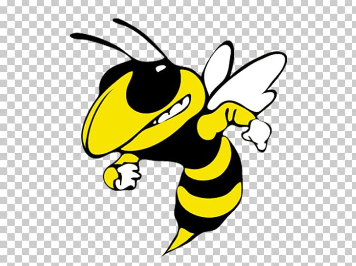 Osbourn Park High School Yellowjacket Georgia Tech Yellow Jackets Ferndale Area School District PNG, Clipart, Art, Artwork, Bee, Black And White, Butterfly Free PNG Download