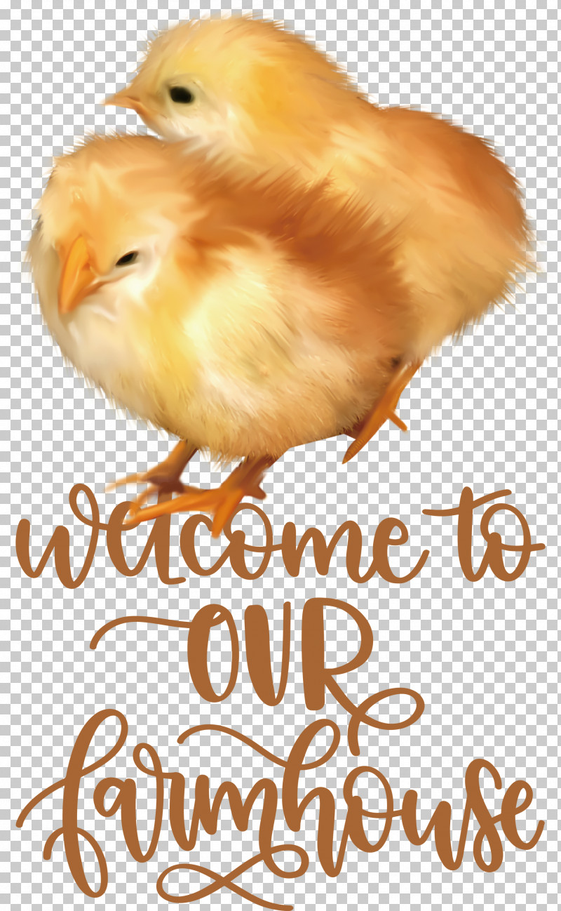 Welcome To Our Farmhouse Farmhouse PNG, Clipart, Beak, Chicken, Farmhouse, Landfowl, Meter Free PNG Download