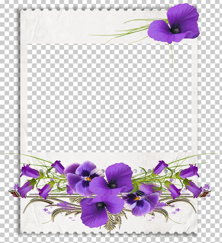 African Violets PNG, Clipart, African Violets, Blog, Color, Cut Flowers, Decoupage Free PNG Download