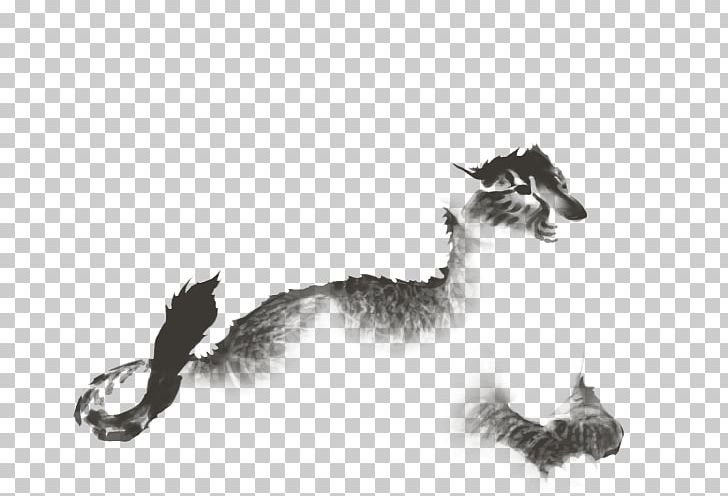Cat Dog Canidae Fur Drawing PNG, Clipart, Animals, Black And White, Canidae, Carnivoran, Cat Free PNG Download