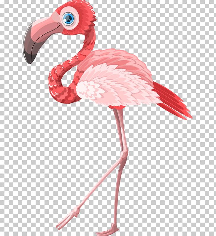 Flamingo Cartoon Postcard Pink Greeting Card PNG, Clipart, Animals, Animals Cartoon, Balloon Cartoon, Beak, Bird Free PNG Download