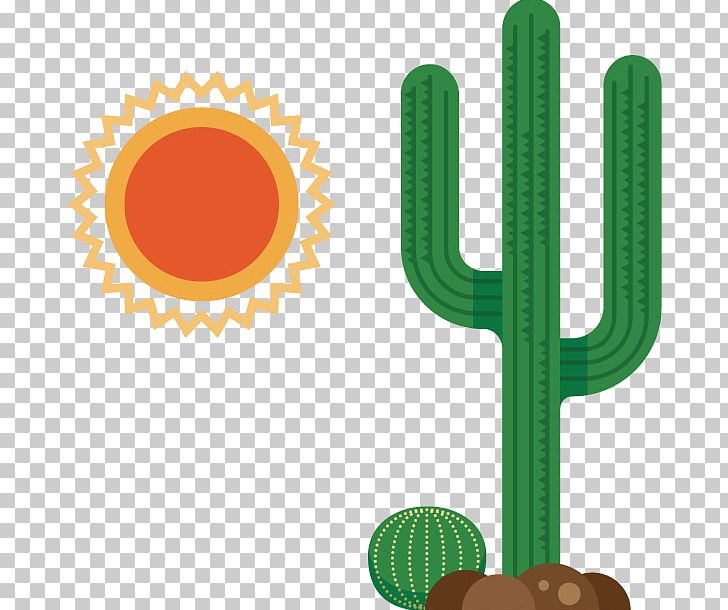 Information Icon PNG, Clipart, Cactus, Cactus Cartoon, Cactus Vector, Cactus Watercolor, Cartoon Cactus Free PNG Download