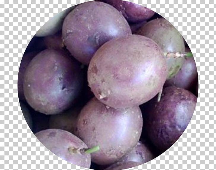 Potato Turnip Rutabaga Tuber Food PNG, Clipart, Food, Fruit, Local Food, Potato, Prune Free PNG Download