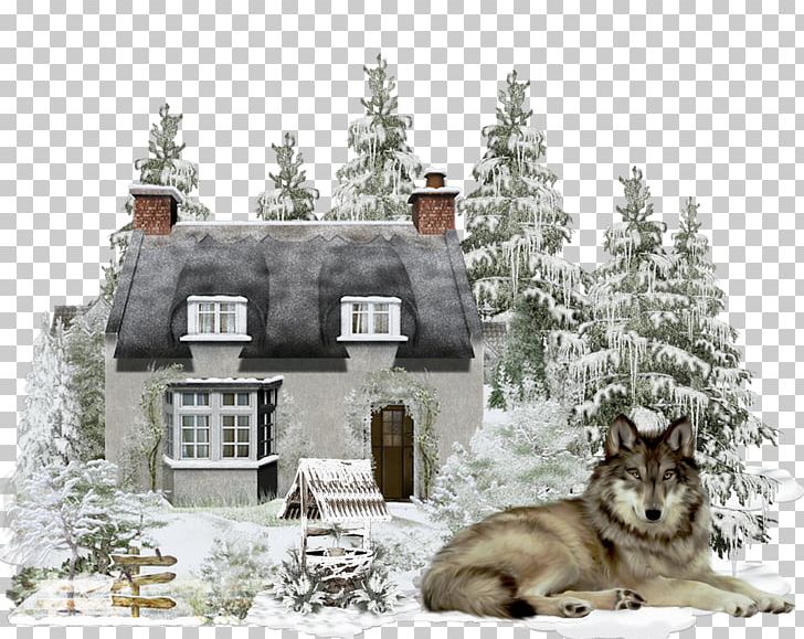 Winter Season Canidae Dog PNG, Clipart, Canidae, Dog, Dog Like Mammal, Gray Wolf, Home Free PNG Download