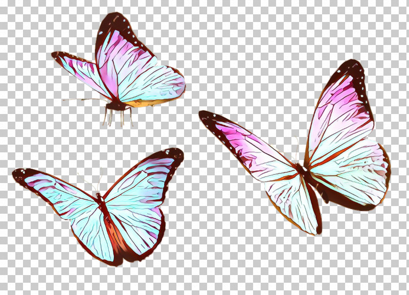 Butterfly Insect Moths And Butterflies Wing Pollinator PNG, Clipart, Butterfly, Insect, Lycaenid, Moths And Butterflies, Pieridae Free PNG Download