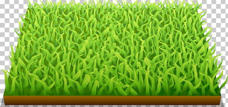 FIFA World Cup Football Pitch PNG, Clipart, Ball, Barley, Barley Vector, Commodity, Encapsulated Postscript Free PNG Download