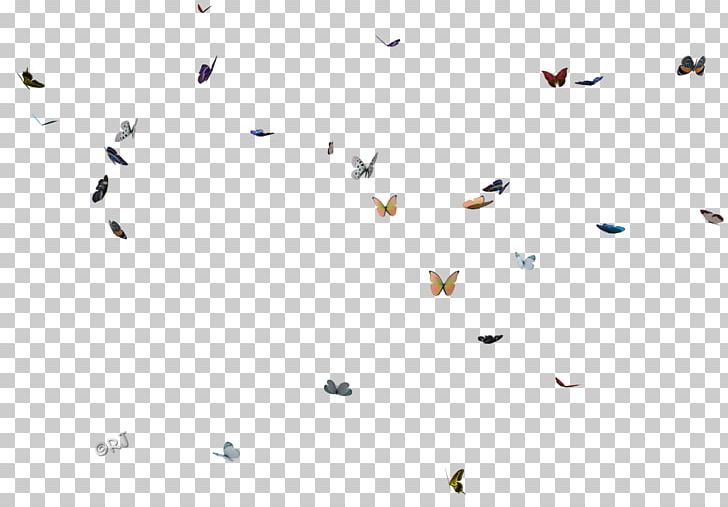 Insect Line Point Graphics Font PNG, Clipart, Area, Bird, Bits And Pieces, Flock, Insect Free PNG Download