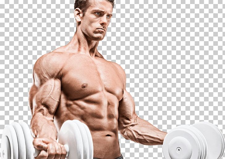 Testosterone Physical Fitness Anabolism Muscle Gainer PNG, Clipart, Abdomen, Anabolism, Arm, Biceps Curl, Bodybuilder Free PNG Download