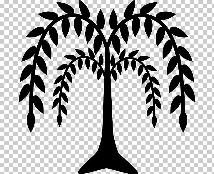 Weeping Willow Tree Drawing PNG, Clipart, Arecales, Art, Black And White, Branch, Drawing Free PNG Download