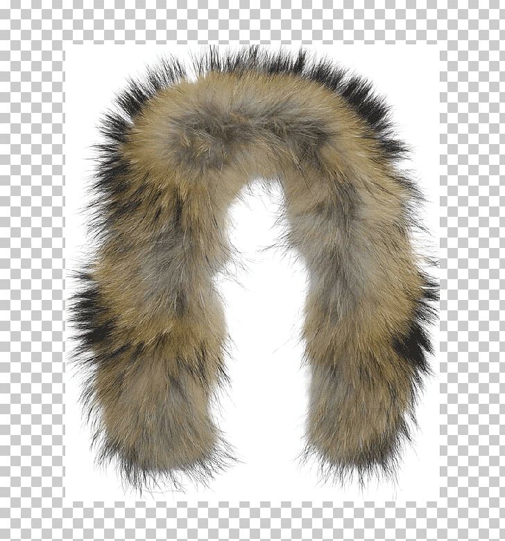 Fur Snout PNG, Clipart, Fur, Fur Clothing, Ladies Fur, Scarf, Snout Free PNG Download