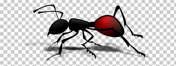 Queen Ant Insect PNG, Clipart, Animals, Ant, Ants, Army Ant, Arthropod Free PNG Download