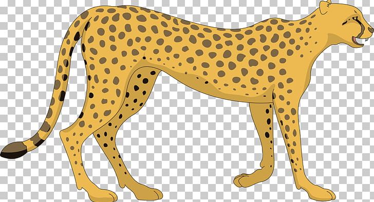 Cheetah PNG, Clipart, Animal Figure, Animals, Big Cats, Carnivoran, Cat Like Mammal Free PNG Download