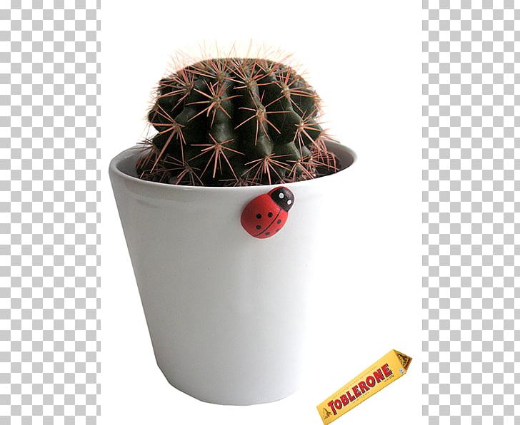 Citroën Cactus M Flowerpot PNG, Clipart, Aeonium, Cactus, Caryophyllales, Cikolata, Crassula Rupestris Free PNG Download