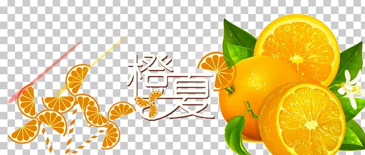 Orange PNG, Clipart, Banner, Blender, Citrus, Drawing, Encapsulated Postscript Free PNG Download