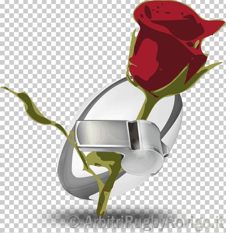 Raster Graphics PNG, Clipart, Beach Rose, Black Rose, Computer Graphics, Cus Milano, Flora Free PNG Download