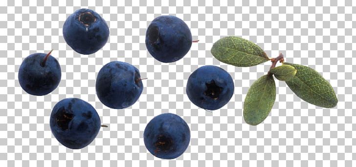 Bilberry European Blueberry PNG, Clipart, Bilberry, Blueberry, Creative, Creative Fruit, Delicious Free PNG Download