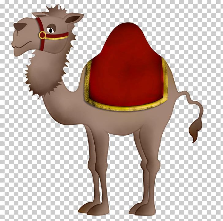 Camel Cartoon PNG, Clipart, Animal, Animation, Arabian Camel, Art, Camel  Free PNG Download