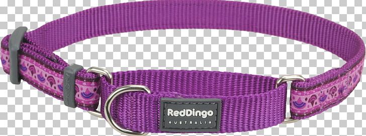 Dog Collar Martingale PNG, Clipart, Chain, Choker, Collar, Daisy Chain, Dog Free PNG Download