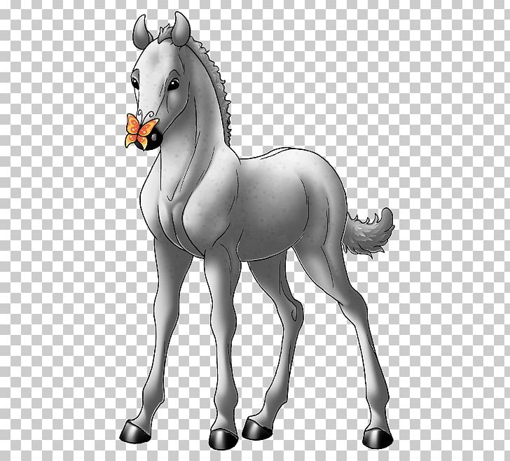 Mane Mustang Foal Stallion Colt PNG, Clipart, Animal Figure, Breed Show, Colt, Equestrian, Fictional Character Free PNG Download