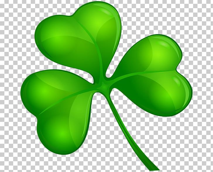Shamrock PNG, Clipart, Clover, Flower, Flowering Plant, Flowers, Green Free PNG Download