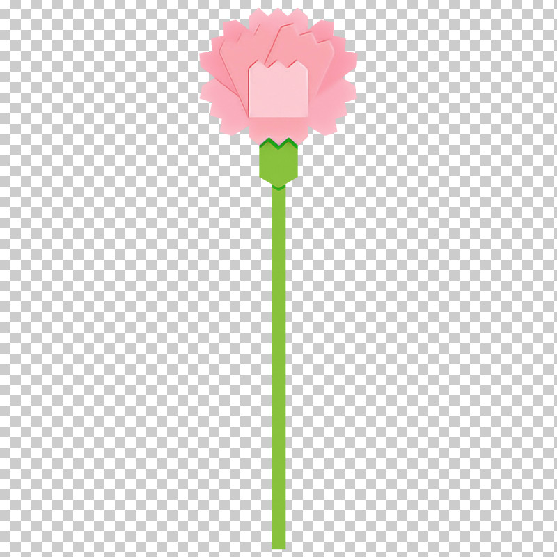 Carnation Flower PNG, Clipart, Carnation, Flower, Green, Pink, Plant Free PNG Download