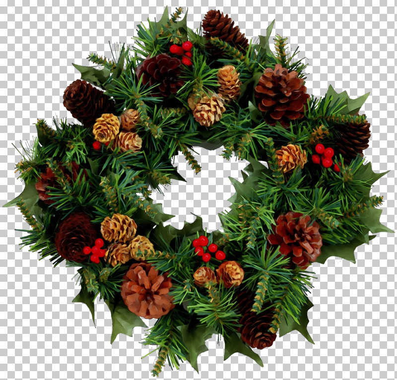 Christmas Ornament PNG, Clipart, Advent Wreath, Christmas Day, Christmas Ornament, Conifer Cone, Conifers Free PNG Download