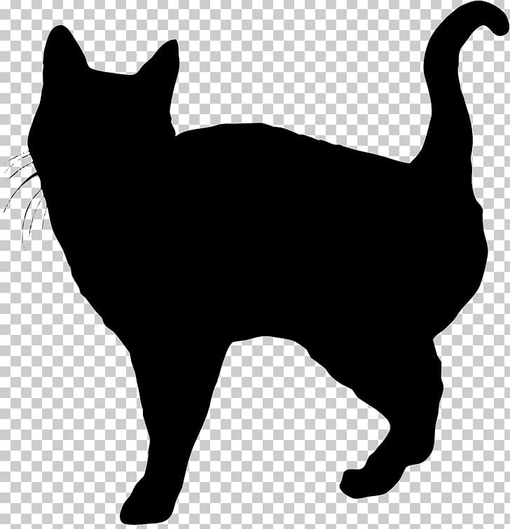 Manx Cat Whiskers Domestic Short-haired Cat Wildcat PNG, Clipart, Animals, Black, Black And White, Black Cat, Canidae Free PNG Download