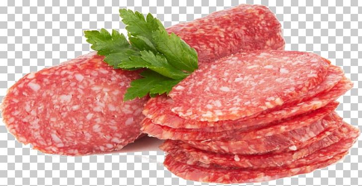 Salami Pizza Cervelat Sausage Meat PNG, Clipart, Animal Source Foods, Beef, Breakfast Sausage, Bresaola, Condiment Free PNG Download