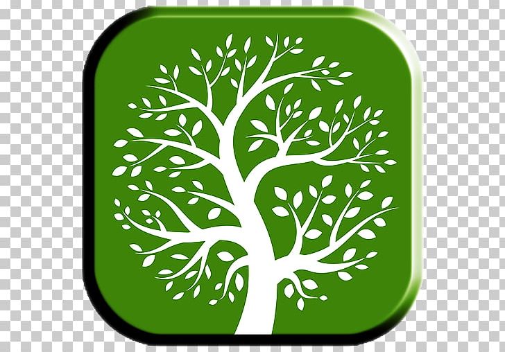 Family Tree Genealogy PNG, Clipart, Area, Branch, Computer Icons, Family, Family Tree Free PNG Download